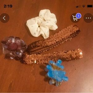 Hair Clips Like New Fabric, Plastic Silk. A gorgeous set.